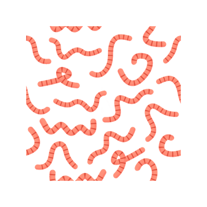 Helmintiasis (infestación por gusanos)